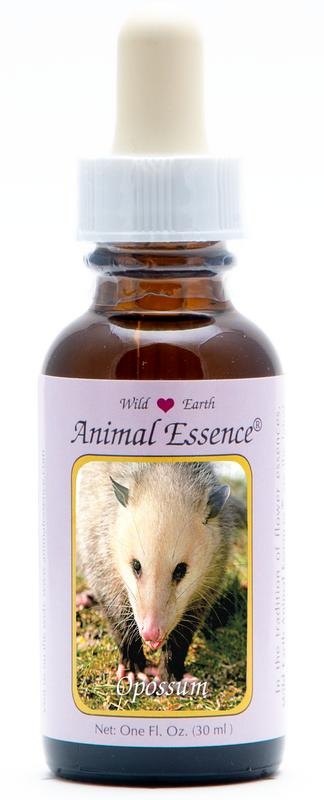 Animal Essences Animal Essences Opossum (buidelrat) (30 Milliliter)