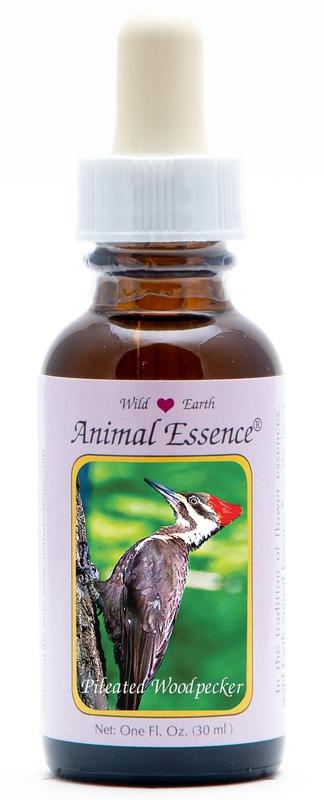 Animal Essences Animal Essences Pileated woodpecker (helmspecht) (30 Milliliter)