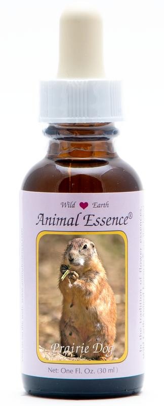 Animal Essences Animal Essences Prairie dog (prairiehond) (30 Milliliter)
