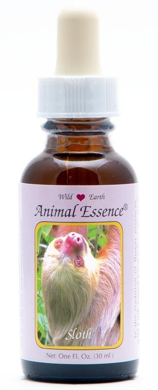 Animal Essences Animal Essences Sloth (luiaard) (30 Milliliter)