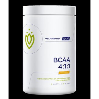 Vitakruid Vitakruid BCAA 4:1:1 l-leucine, l-isoleucine & l-valine 540 Gram