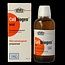 Laves Colibiogen oral 100 Milliliter