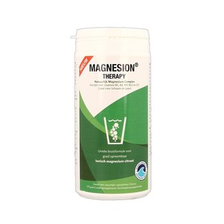 Magnesion Magnesion Therapy  175 Gram