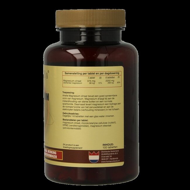 Artelle Magnesium basic 100 Tabletten