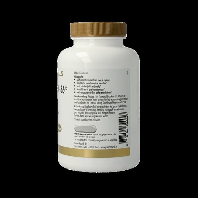 Golden Naturals Ashwagandha KSM-66 120 Vegetarische capsules