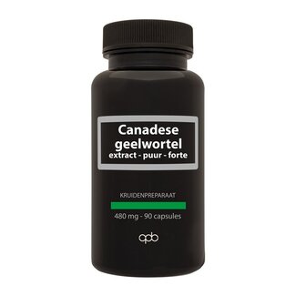 APB Holland APB Holland Canadese geelwortel extract puur forte 480mg 90 Vegetarische capsules