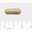 AOV 805 Genisteine 60 Vegetarische capsules
