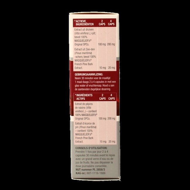 Masqueliers Anthogenol 60 Gélules