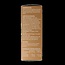 Olfae Eucalyptus radiata 08 bio 10 Milliliter