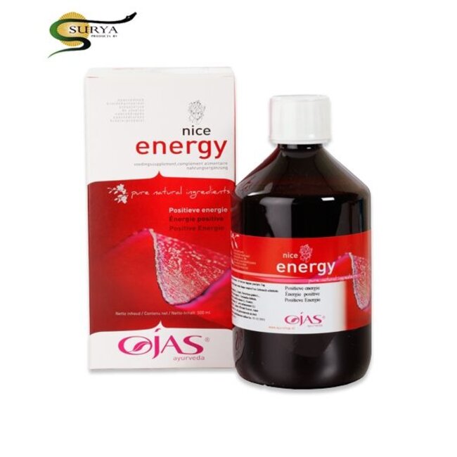 Ojas Nice energy 500 Milliliter
