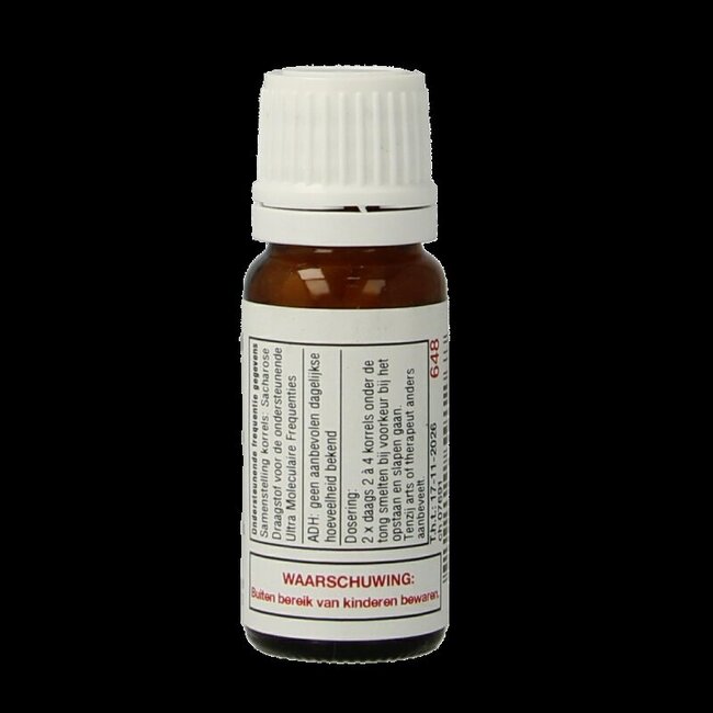 DNH Anti pol 200 Stuks