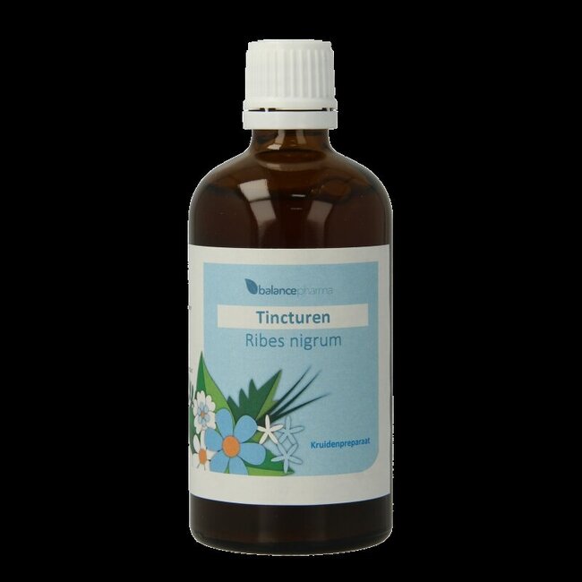 Balancepharma Ribes nigrum tincturen 100 Milliliter