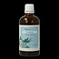 Balancepharma Ribes nigrum tincturen 100 Milliliter