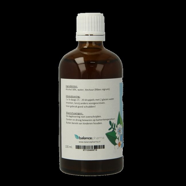 Balancepharma Ribes nigrum tincturen 100 Milliliter