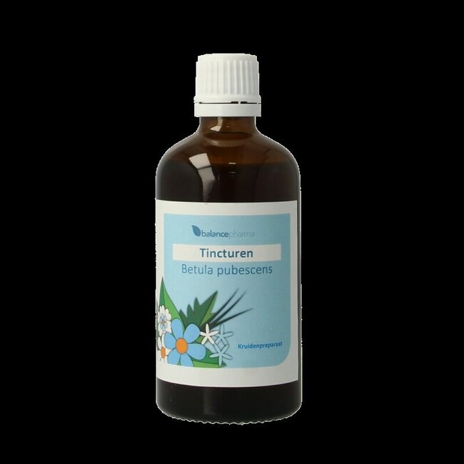 Balancepharma Betula pubescens tincturen 100 Milliliter