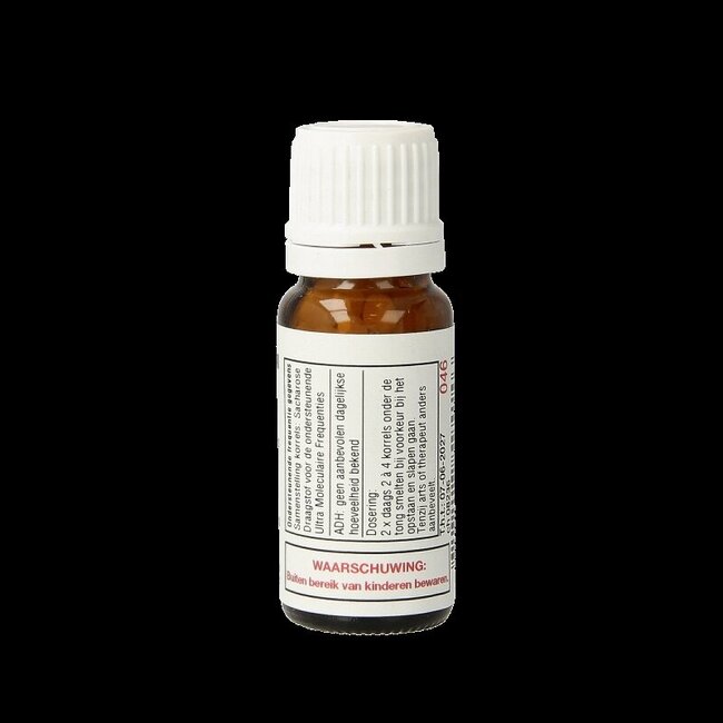 DNH Legi 200 pièces