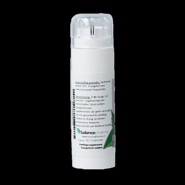 Balancepharma Nachtschadigen allergoplex 6 Gram