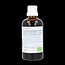 Fytomed Bronchi bio 100 Milliliter