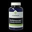 Vitakruid Echinacea 600 purpurea (4%) angustifolia (6%, 4%) 90 Vegetarische capsules
