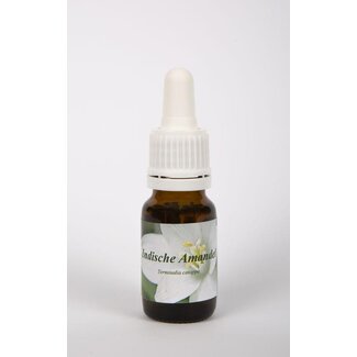 Star Remedies Star Remedies Indische amandel 10 Milliliter