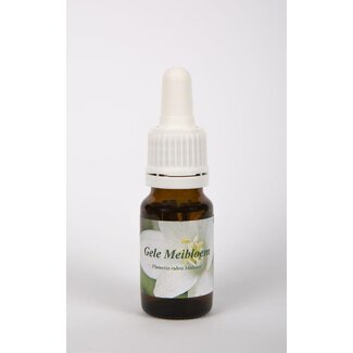 Star Remedies Star Remedies Gele meibloem 10 Milliliter