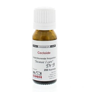DNH DNH Cecloide 135 200 Stuks