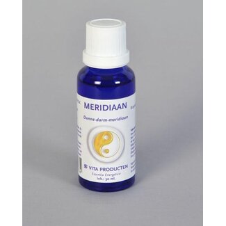 Vita Vita Meridiaan dunne darm meridiaan 30 Milliliter