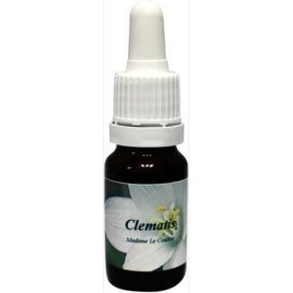 Star Remedies Star Remedies Clematis madame le coultre 10 Milliliter