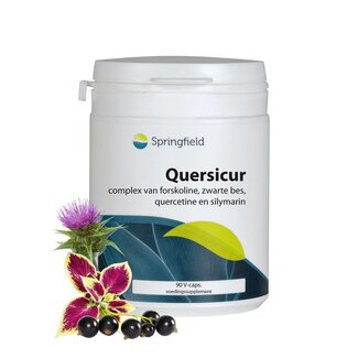 Springfield Springfield Quersicur antioxy complex 90 Vegetarische capsules