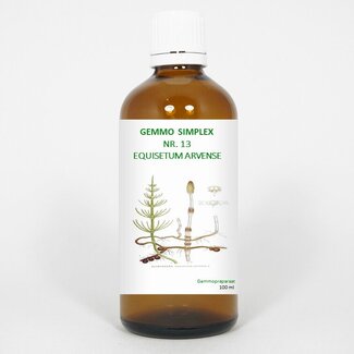Balancepharma Balancepharma Gemmo simplex 13 equisetum arvense 100 Milliliter