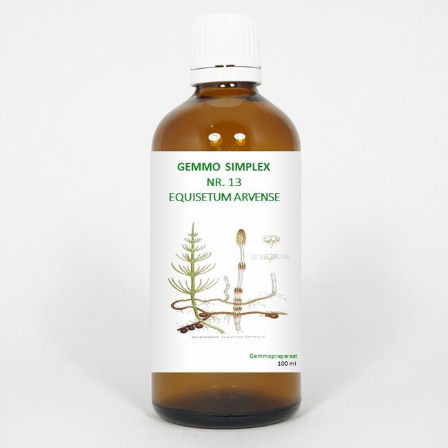 Balancepharma Gemmo simplex 13 equisetum arvense 100 Milliliter