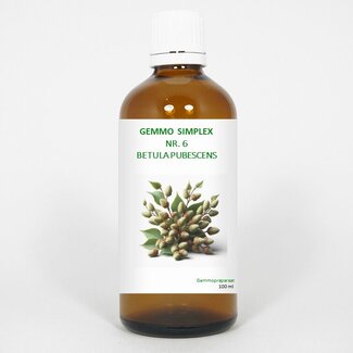 Balancepharma Balancepharma Gemmo simplex 6 betula pubescens 100 Milliliter