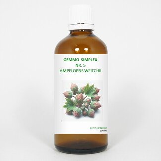 Balancepharma Balancepharma Gemmo simplex 5 ampelopsis weitchii 100 Milliliter