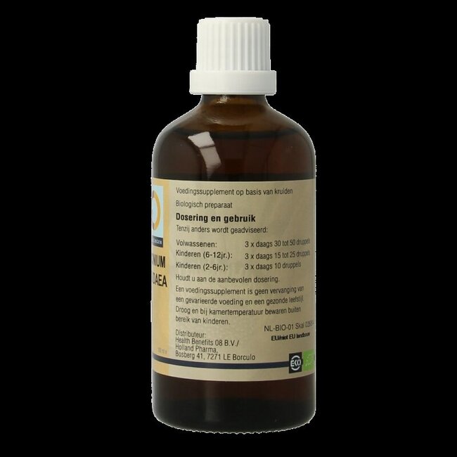 GO Vaccinum vitis idaea bio 100 Milliliter