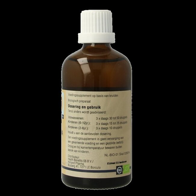 GO Pinus montana 100 Milliliter