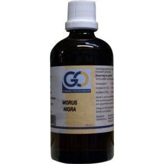 GO GO Morus nigra 100 Milliliter