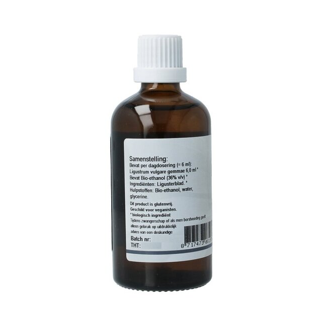 GO Ligustrum vulgare 100 Milliliter