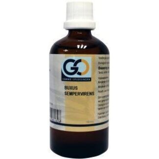 GO GO Buxus sempervirens 100 Milliliter