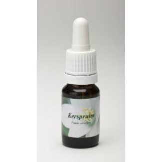 Star Remedies Star Remedies Kerspruim 10 Milliliter