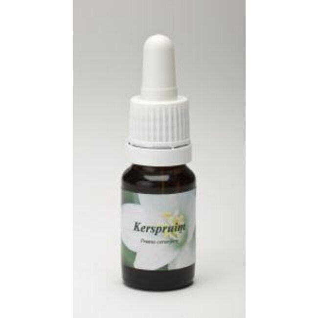 Star Remedies Kerspruim 10 Milliliter