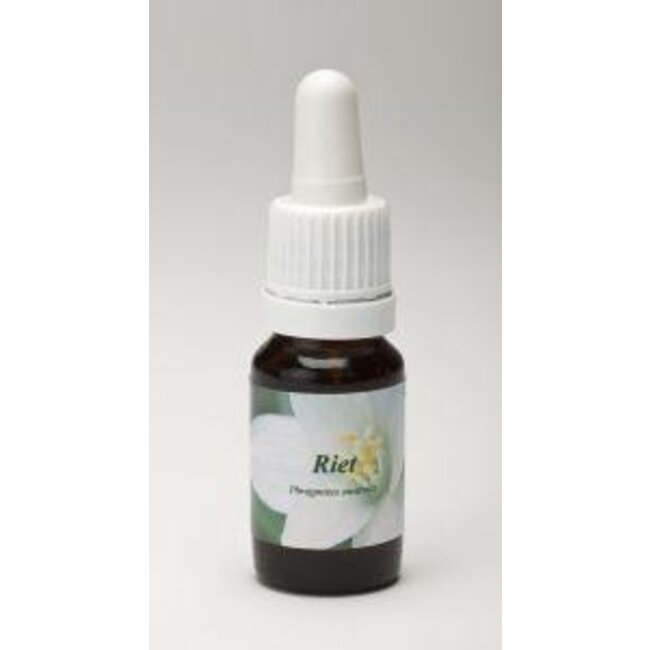 Star Remedies Riet 10 Milliliter