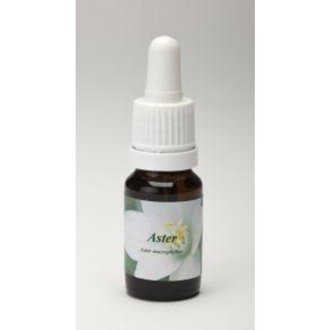 Star Remedies Aster 10 Milliliter