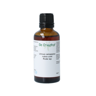 Cruydhof Cruydhof Ulmus campestre rubra / rode iep tinctuur 50 Milliliter