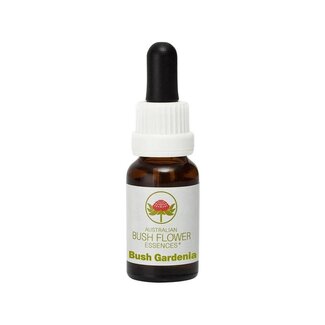 Australian Bush Australian Bush Bush gardenia 15 Milliliter