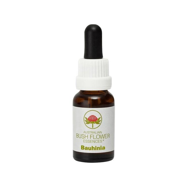 Australian Bush Bauhinia 15 Milliliter