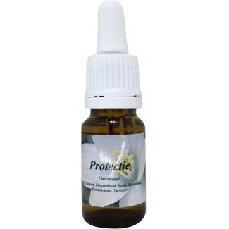 Star Remedies Star Remedies Protectie 10 ml