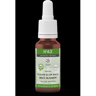 Bach Bloesem Fleurs de Bach Mélange 43 Motivation Bio 20 ml