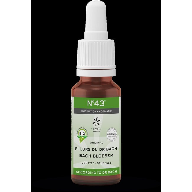 Bach Bloesem Bach bloesems mengeling 43 motivatie bio  20 Milliliter