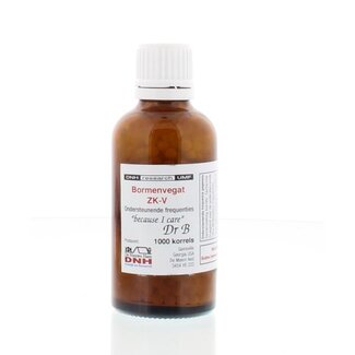 DNH DNH Bormenvegat ZK-V 1000 Stuks