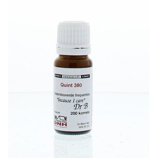 DNH DNH Quint 380 200 Stuks